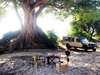 Tarangire Treetops - picnic lunch